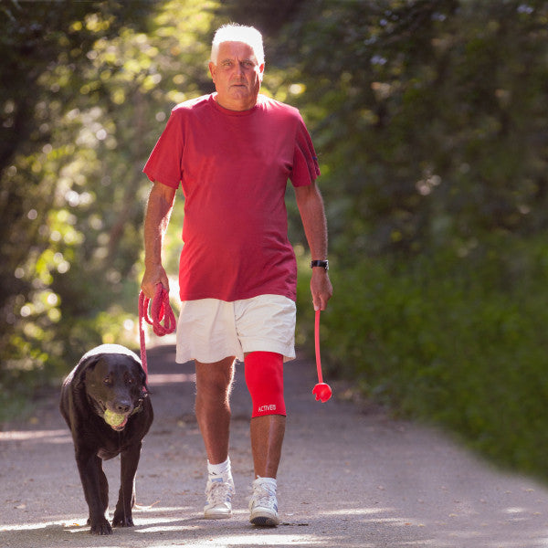 Osteoarthritis in detail