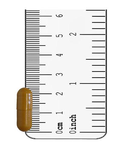 Turmeric capsules by Active650 are easy to swallow and convenient