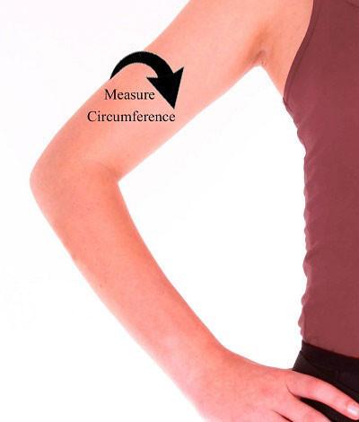 active650 bicep support How To Measure